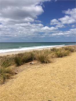 !! The Ultimate Absolute Beachfront in Papamoa !! - Papamoa