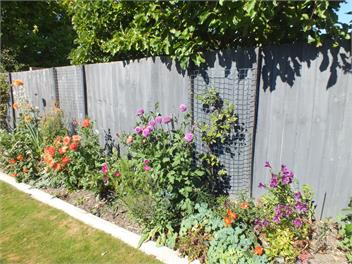 Perfect Home, Stunning Gardens - Aidanfield Gardens Bellissimo - Christchurch