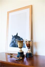 Cottage on Equestrian Estate - Hastings