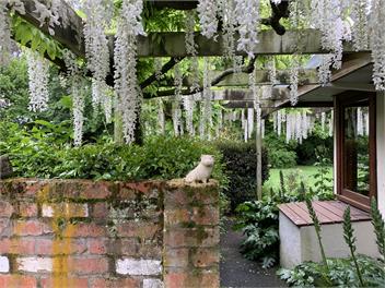 Mill Stream Cottage, Renwick - Blenhiem 