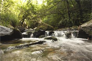 WASHPEN FALLS - Darfield