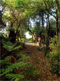 Spacious Beach Retreat in the Catlins - Catlins Area