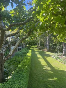 Mill Stream Cottage, Renwick - Blenhiem 