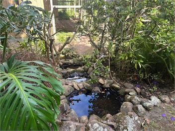 The Nature Hub - Whangarei