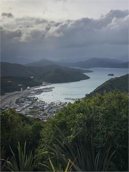 Sun Trap in Picton - Picton