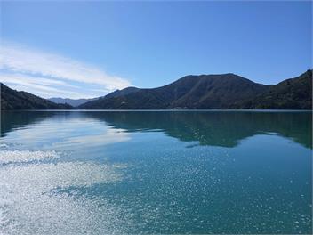 Our Lovelea Place  - Marlbourough Sounds