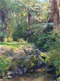 Mac's Miners Retreat - Hauraki