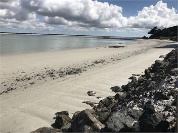 Crystal Waters -