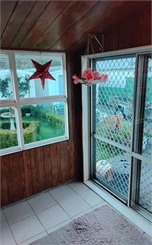 Frances Patch with a rural backdrop  - 