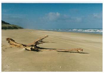 Glinks Gully Beach House - Dargaville
