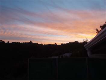 Tui Cottage - Paihia