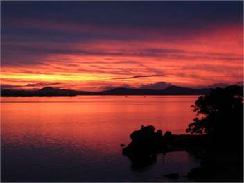 Thistle Do - Whangarei 0174