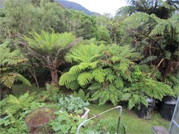 Okiwi - Marlborough