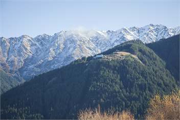 Windsor Lodge - Alpine luxury for large groups  - Queenstown