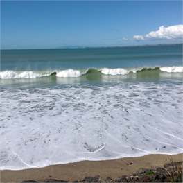 Absolute Beachfront Paradise! Milford, Auckland - Auckland