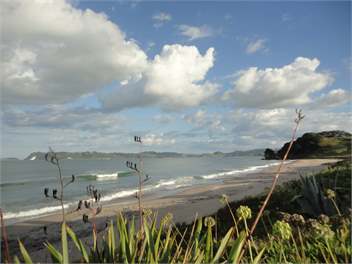 Ocean View B&B - Whitianga
