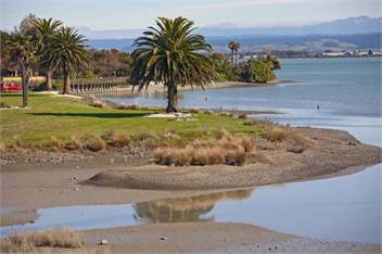 Estuary Grove - Nelson