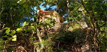 bach hut - Whangarei