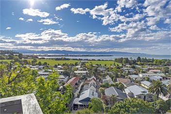The Lookout - Nelson