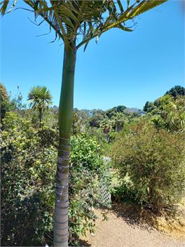 enchanted cottage - waiheke island