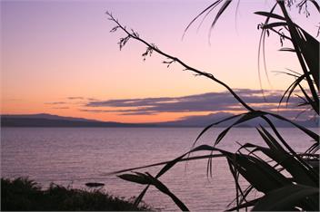 Moeroa (Bachcare) - Wharewaka