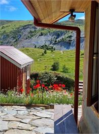 The Old Orchard Cottage - St Bathans