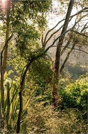 Kakariki Ecostay - stunning views - Christchurch