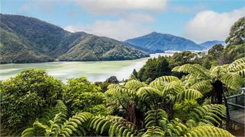 Tepuia Daze (Bachcare) - Picton