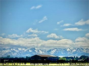 Quite Peaceful Farm Getaway - Riverton
