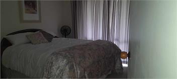 Rural Bay of Islands 1 acre with two blue heelers, 13 min Kerikeri 25 minutes by car to Paihia - Kerikeri