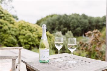 Wainui Stream Cottage - Raglan