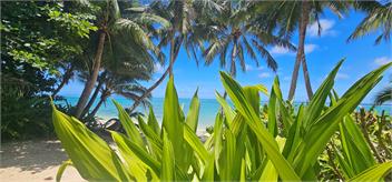 Tepoka Beachfront Escape – Titikaveka, Rarotonga, Cook Islands - Cook Islands