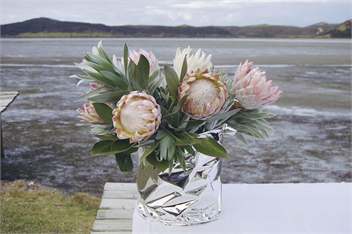 Tranquillity Lodge - Houhora
