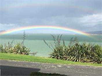 Harbour Lane - Whangarei
