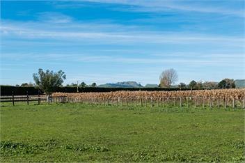 Cottage on Equestrian Estate - Hastings
