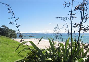 Cuvier Island View - Whitianga