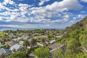 The Lookout - Nelson