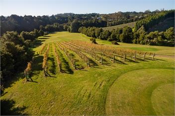 PUKETOTARA LODGE KERIKERI - Kerikeri