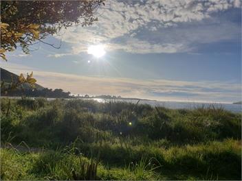 Spacious Beach Retreat in the Catlins - Catlins Area