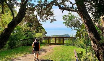 Tui Bird Cottage Titirangi - Auckland