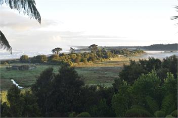 Coastal Ridge Retreat - Charleston