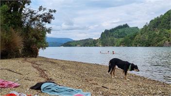 Secluded Kenepuru Retreat. Beach, Bush & 50ha Farm - Picton