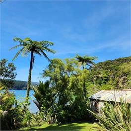  Cockle Cove Haven, Queen Charlotte Sound - Picton