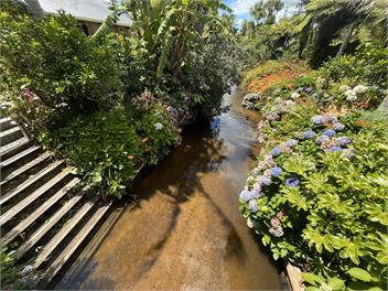 OCEAN BEACH OASIS - Coromandel