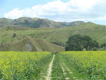 Moeraki Station - Holiday House - Martinborough