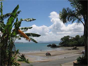 Thistle Do - Whangarei 0174