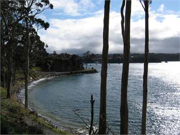 Ringaringa Beach Cottage - Oban