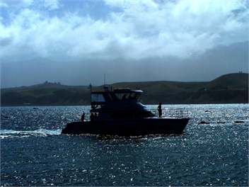 Romantic Cottage - Kaikoura