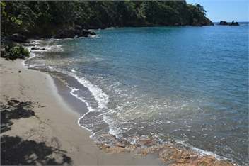 Kotari Point - Whangarei Northland