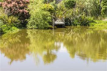 Secluded Haven Near River, Bush, Beach & Havelock - Havelock North